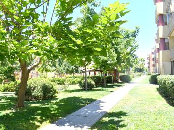 Barrio Las Rosas / Metro Monte tabor