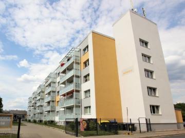 Lindenfeld, Wittenberg Lutherstadt, Wittenberg, Sachsen-Anhalt, Sachsen-Anhalt