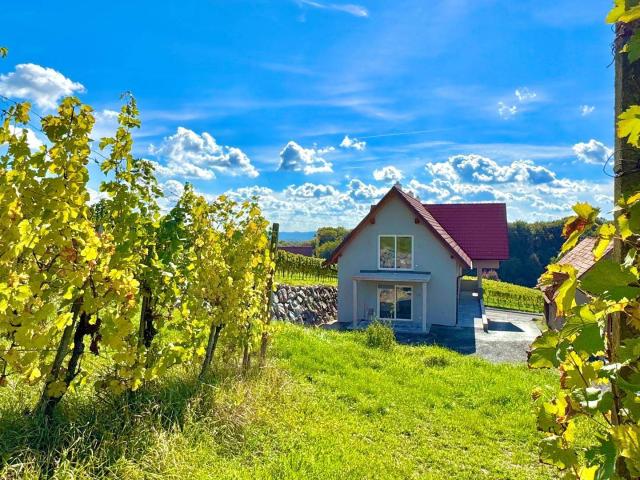 Barrierefreie 3 Zimmer Wohnung mit Terrasse inmitten der Weinberge von Klöch Erstbezug!