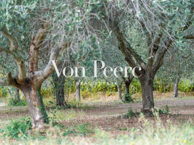 Bastide méditerranéenne proche Maussane les Alpilles 230m² Maussane les Alpilles