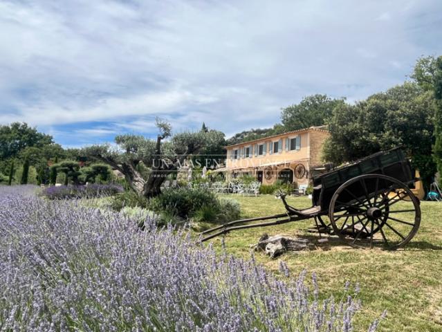 Bastide provençale de charme proche de Gordes avec piscine cha