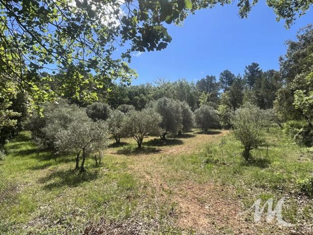 Bastidon en pierre à vendre à Barjols sur 2,3 hectares de terrain avec un puits dont 1,6 hectare en zone agricole