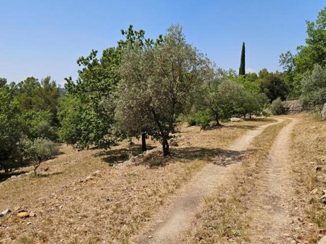 Bastidon en pierre habitable et rénové dans un écrin de verdure