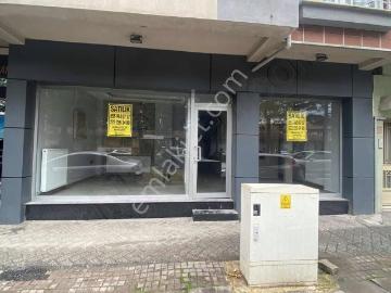 Basın Şehitleri Caddesi, Odunpazarı, Eskişehir, Eskişehir ili, İç Anadolu Bölgesi