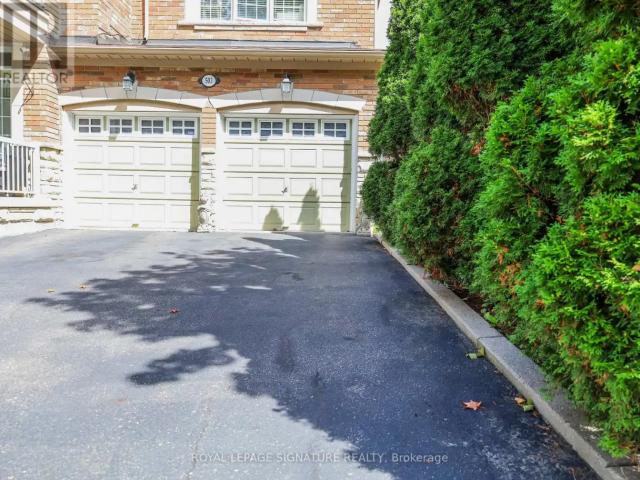 BASEMENT 503 THORNHILL WOODS DRIVE