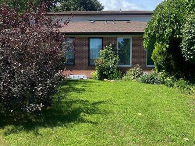 Basement 583 Tedwyn Drive, Mississauga, ON, L5A 1K1 house for lease | Listing ID W13717 | Royal LePage