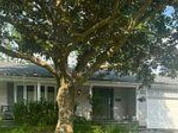 Basement 71 Nisbet Drive, Aurora, ON, L4G 2K6 house for lease | Listing ID N13209 | Royal LePage