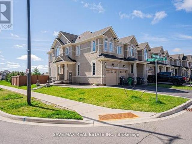 Basement 20 Desert Garden Drive, Brampton, ON, L7A 4V4 house for lease | Listing ID W13671 | Royal LePage