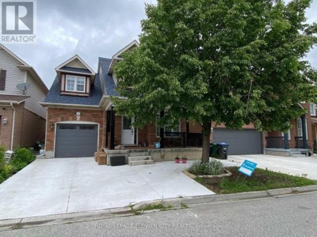 Basement 29 Marshmarigold Drive, Brampton, ON, L7A 2S7 house for lease | Listing ID W13499 | Royal LePage