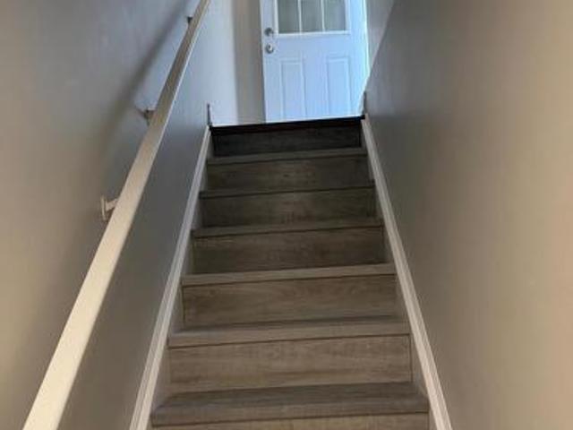 Basement 3082 Doyle Street, Mississauga, ON, L5M 0N1 house for lease | Listing ID W13776 | Royal LePage