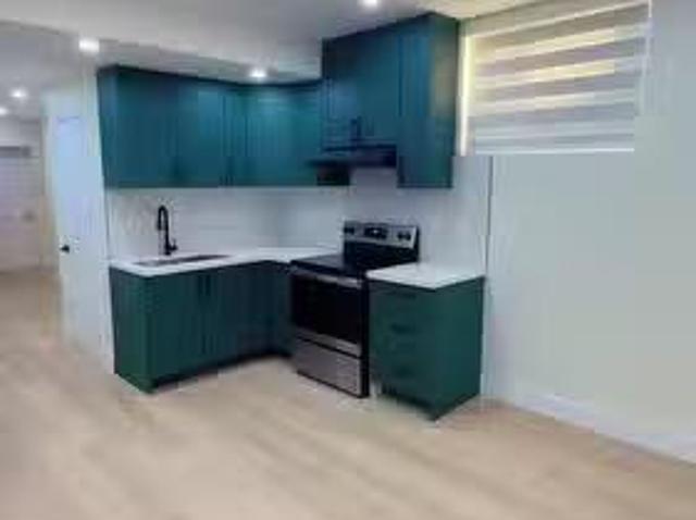 Basement 3843 Petalpath Way, London South South V, ON, N6P.