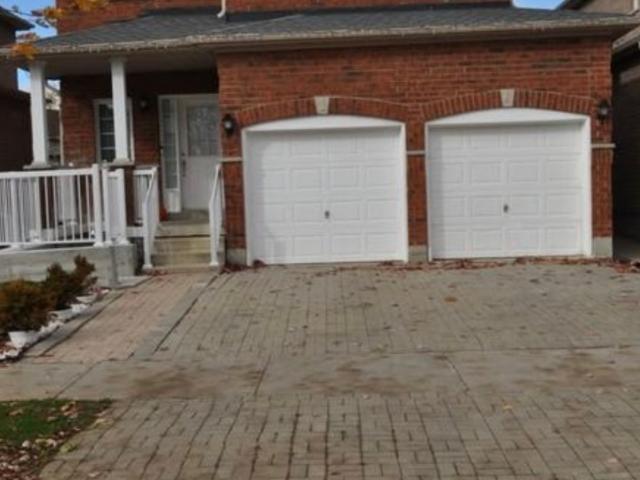 Basement for rent