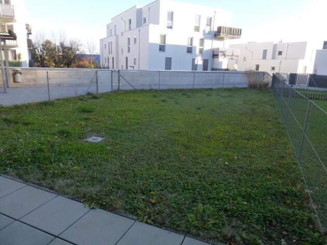 Basisdaten zur Immobilie