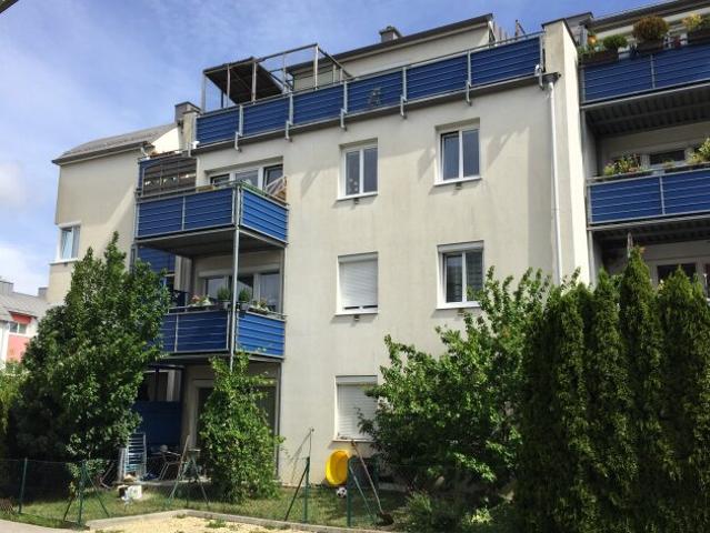 Basisdaten zur Immobilie