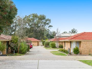 Bassendean Bliss Starts Here