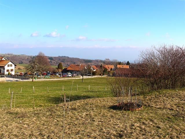 BASSINS VILLA EINZIGARTIG