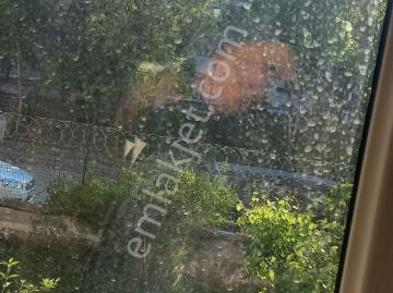 Batıkent Siyasal 3 Te Kiralık