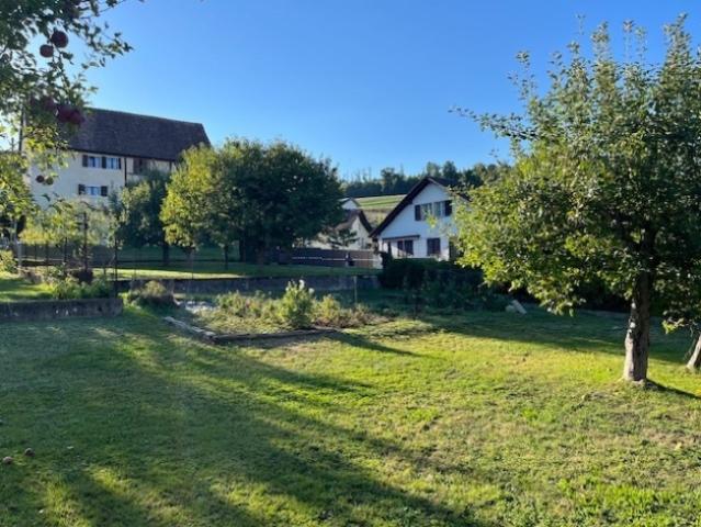 Bau von 2 Luxusvillen