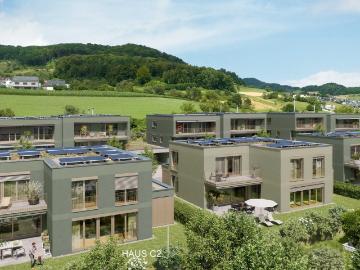 Baubewilligtes Projekt Gemsacker: 6.5 Zimmer Einfamilienhaus C2