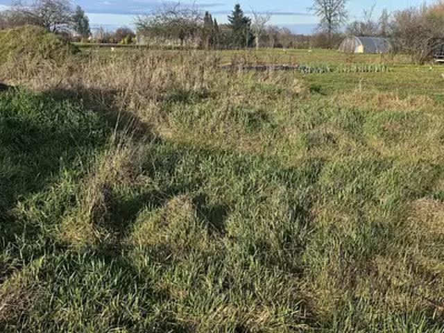 Baudrières 71370 Programme neuf maison neuf à vendre 5 pièces
