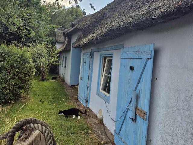 Bauernhaus mit 260 m² Wohnfläche in Sprakebüll