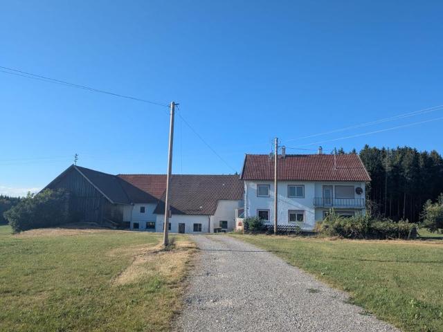Bauernhaus, Alleinlage, Stall und Wirtschaftsgebäude