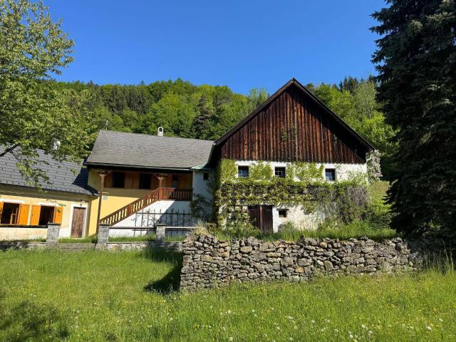 Bauernhaus in Einzellage