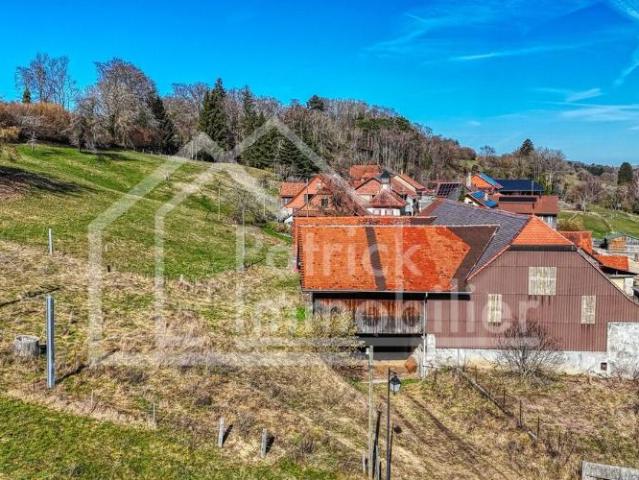 Bauernhaus in Dorfzone mit renovierter Wohnung und Entwicklungspotenzi