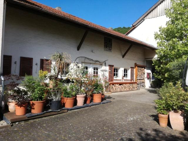 Bauernhof ein Pferdeparadies mit 3,4 ha arrondierter Weide