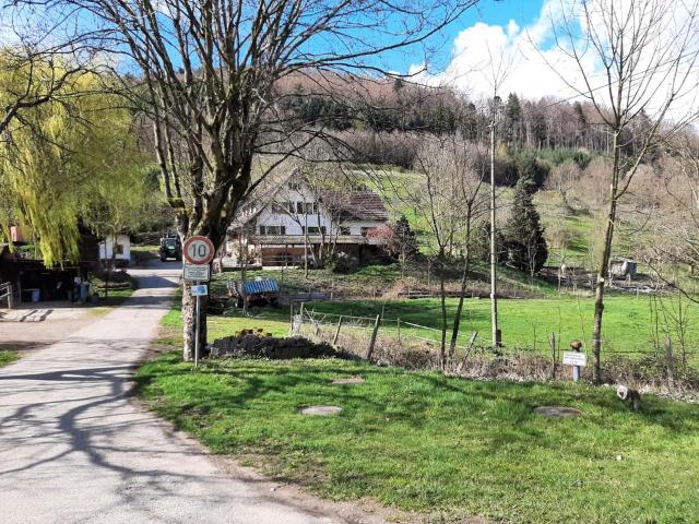 Bauernhof für Freizeitpferdehaltung im vorderen Kinzigtal