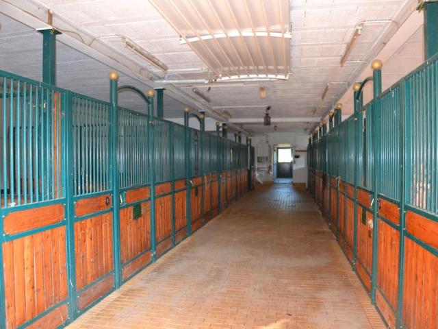 Pferdehof mit ca. 108.000 EURJahr Einnahmen Bauernhof, Reiterhof