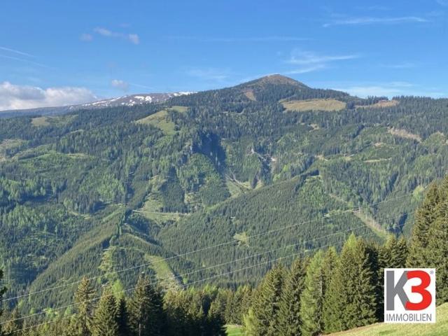 Bauernhof zu verkaufen Wolfsberg, Österreich