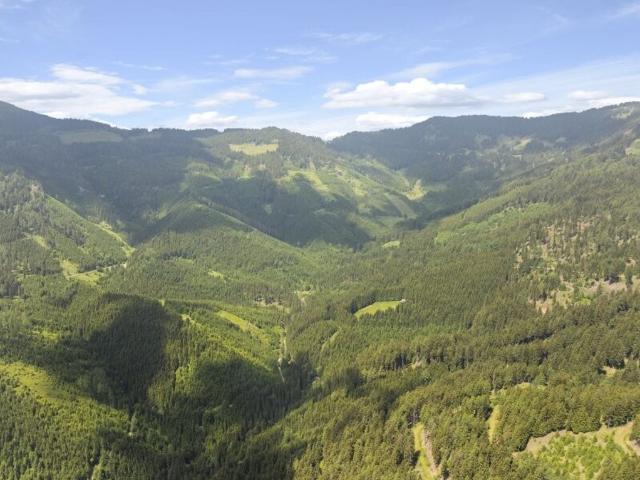 Bauernhof zu verkaufen Wolfsberg, Österreich