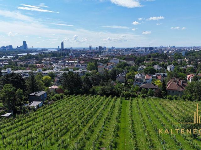 Baugenehmigtes Grundstück am Döblinger Nussberg