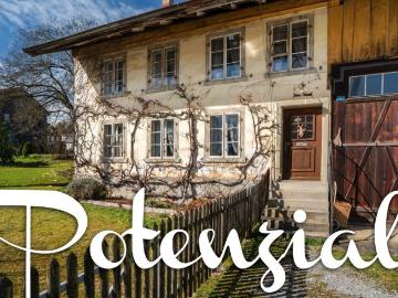 Luxuriöses Haus zu verkaufen in Dorfstrasse, 5, Brütten, Winterthur, Kanton Zürich