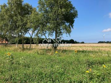 Deichstrich, Ostfriesland, Belumer Deich, Elbe-Weser-Dreieck, Schleswig-Holstein