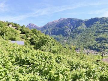 Semione, Gemeinde Malvaglia, Bezirk Blenio, Tessin