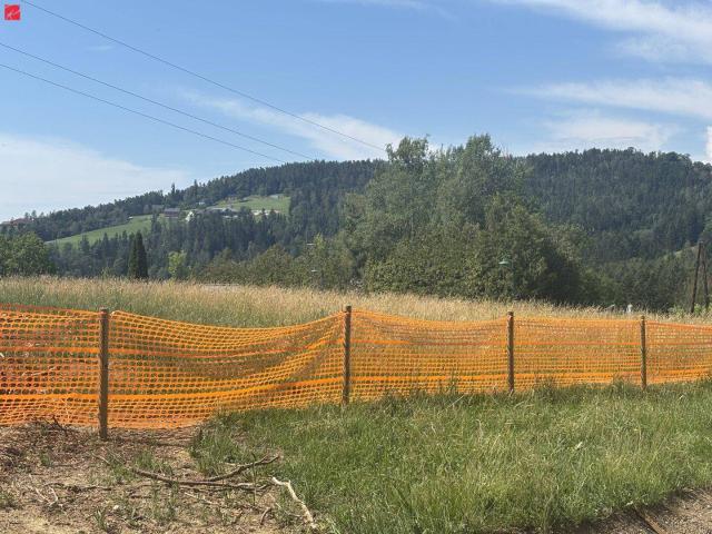 BAUSTART: Gartenwohnung mit schönem Grünblick