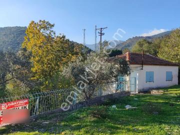 Bayındır Gayrimenkul İzmir Bayındır Ergenli Mah Satılık Müstakil Ev Ve Zeytinlik Satılık