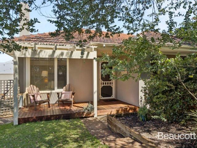 BAYSWATER BORDER/WHITE PICKET FENCE DREAMS