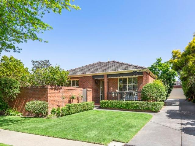 Be Up Front In The Balwyn High Zone