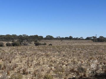Swan Reach, Mid Murray, Mid Murray, South Australia
