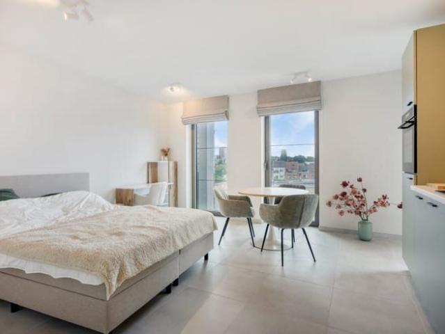 Bemeubelde studio met terras en kelderberging in het centru