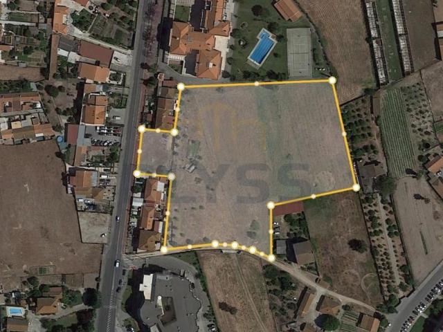 Benavente Benavente 102338514