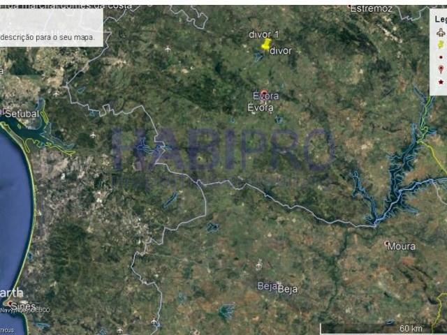 Benavente Benavente LS103308957