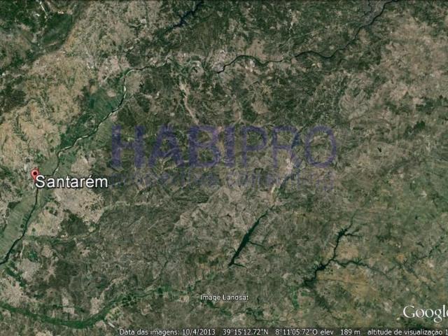 Benavente Benavente LS105703053