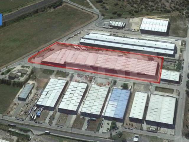 Benavente Benavente 105874678