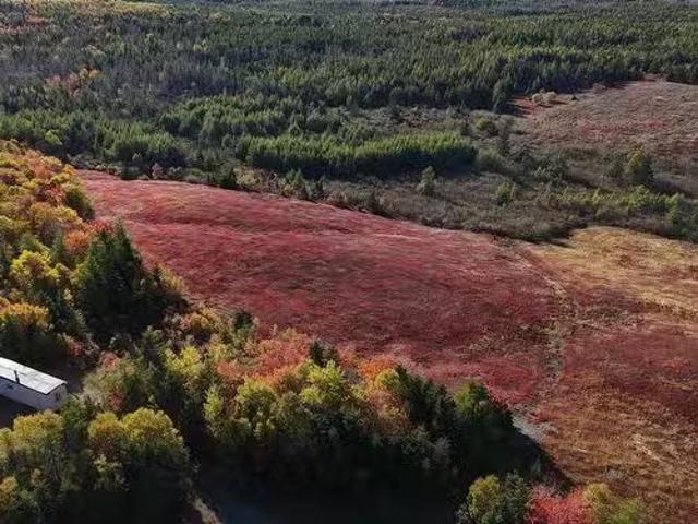 Bengal Oceanview Road, Albert Bridge, NS, B1K 2J5 vacant lan.