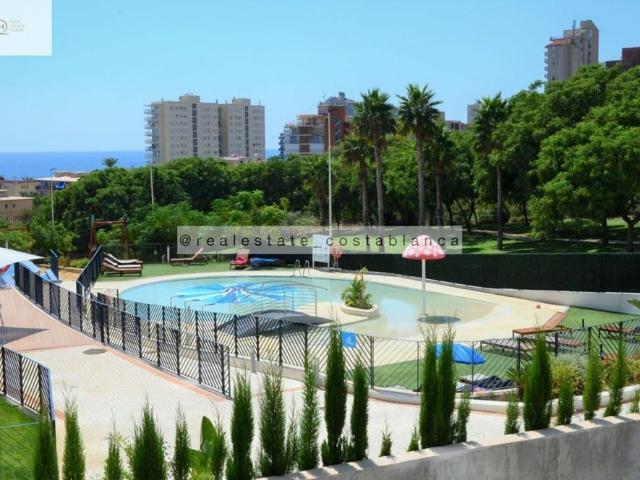 Benidorm, Valencian Community 03502
