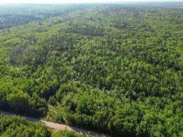 Bennie Muckle 30 Acres Road, Bramber, NS, B0N 2A0 vacant l.